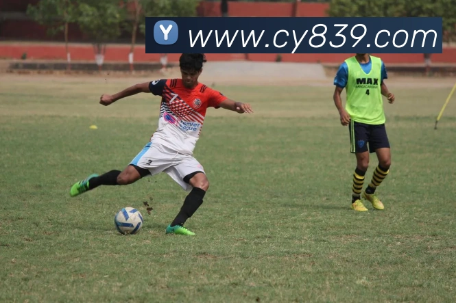 bsports中国官网登录入口APP 体育赛事宣传图